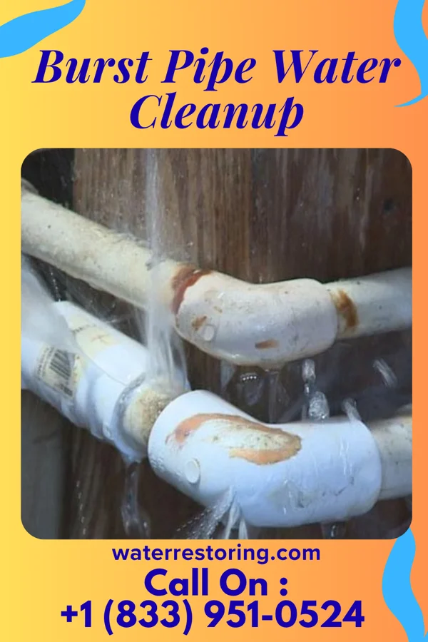 Burst Pipe Water Cleanup in Riverside, OH