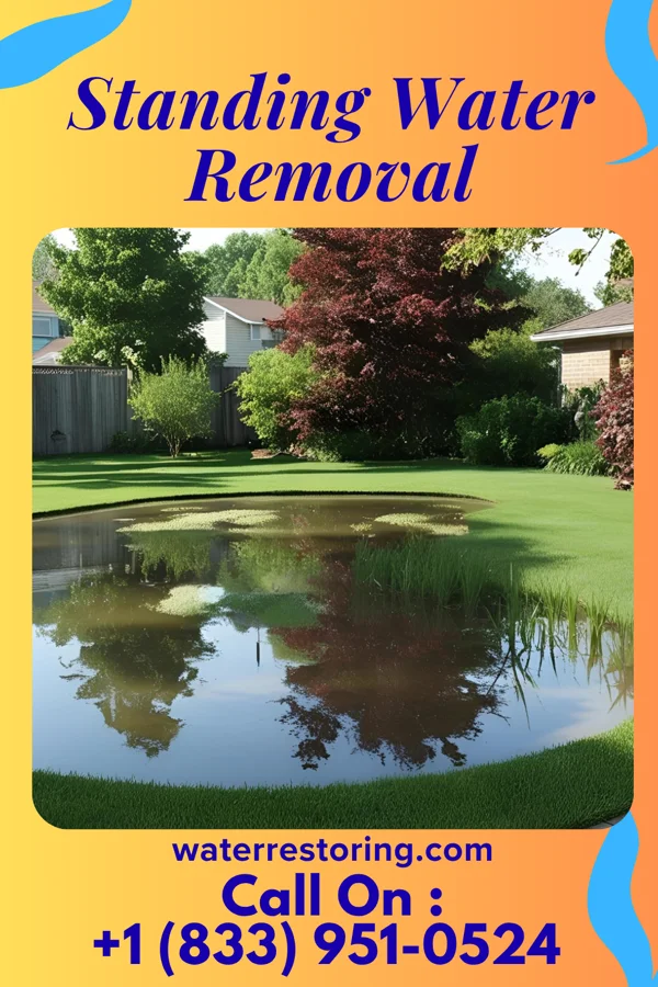 Standing Water Removal in Riverside, OH